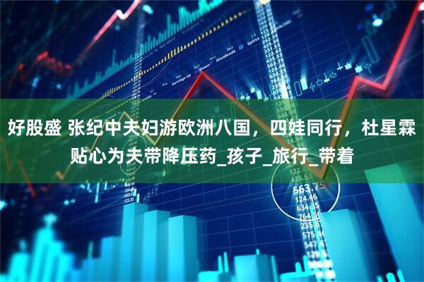 好股盛 张纪中夫妇游欧洲八国，四娃同行，杜星霖贴心为夫带降压药_孩子_旅行_带着