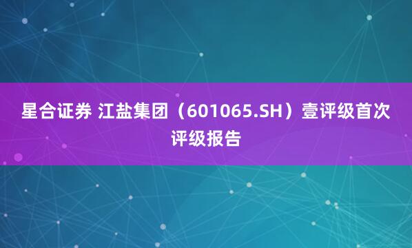 星合证券 江盐集团（601065.SH）壹评级首次评级报告