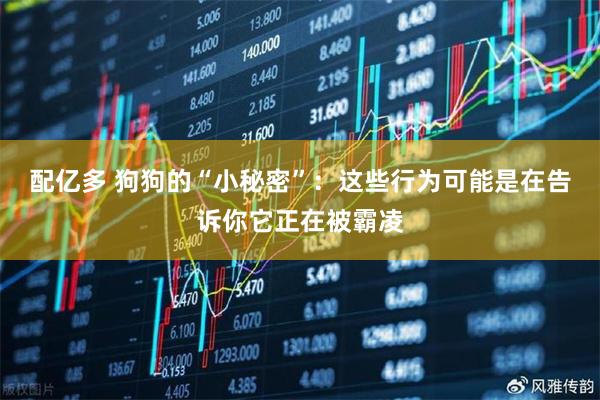 配亿多 狗狗的“小秘密”:这些行为可能是在告诉你它正在被霸凌